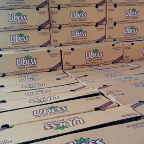 5kg Ubiss Box